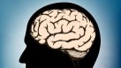 How brain waves are part of memory: Study(Shutterstock)