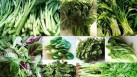 Leafy greens and cardiovascular function: Reduced risk of heart diseases, other benefits of plant-based diet (Photo by Pinterest)