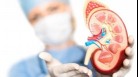 Kidney donation: Prerequisites for a kidney transplant, who can donate and all you need to know (REPRESENTATIVE PHOTO)