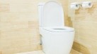 Flushing a toilet with the lid closed is generally more sanitary and helps prevent the spread of germs and odours, so it is usually recommended, say experts(Freepik)