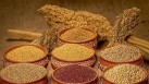 The year 2023 has indeed been special for millets as The United Nations General Assembly at its 75th session in March 2021 declared it the International Year of Millets (IYM 2023). (Pinterest)