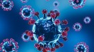  Scientists are of the opinion that Disease X could be 20 times more deadly than SARS-Covid virus that caused pandemic recently(Freepik)