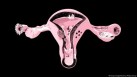 Women exposed to toxic metals might experience earlier ageing of ovaries: Study(imago images/Science Photo Library)