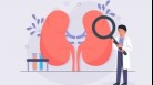 Chronic kidney diseases (CKD) unfortunately is a progressive condition. Over time almost all patients progress to a stage where they need either dialysis or a kidney transplant(Freepik)