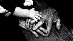 The hands of a grandparent, parent, and child touch