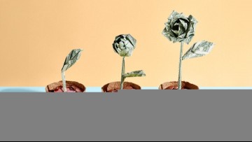 Three origami dollar flowers in a row