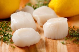 Fresh Sea Scallops (Getty Images/boblin)