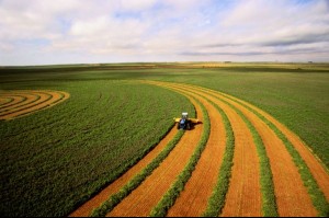 Harvesting alfalfa crop, aerial view. (Getty Images)