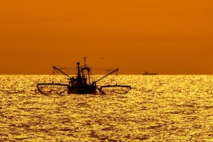 Bottom trawler, fishing boat sailing along the North Sea coast silhouetted against orange sunset in front of Nieuwpoort, Flanders, Belgium. (Arterra/Philippe Cl茅ment/Universal Images Group via Getty Images)