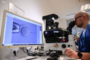 In a cell laboratory, an electron microscope is used to fertilize an egg cell. (Jens Kalaene/picture alliance via Getty Images)