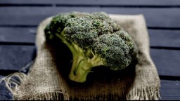 A piece of broccoli on a cloth on a flat surface