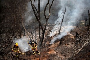 Firefighters work at the Botanical Garden after a forest fire in Vi帽a del Mar, Chile, on February 4, 2024. (JAVIER TORRES/AFP via Getty Images)