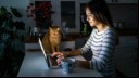 Cat sitting next to the owner at night