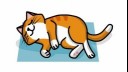 cat sleeping on side illustration