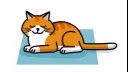 cat in upright seated sleeping position illustration