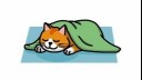 cat tucked in sleeping illustration