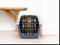 Cat in carrier