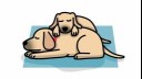 dogs cuddling whilst sleeping illustration