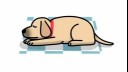 dog sleeping on cold surface illustration