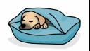 dog sleeping under blanket illustration