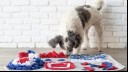 Snuffle Mats for Dogs