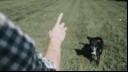 Man teaching a dog to sit