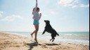 girl and black dog jumping on a beach