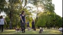 group of women walking their dogs in the park