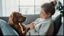 Dog sitting in front of its owner