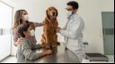 Family at vets with their dog