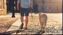 Dog on lead walking with owner down cobbled street