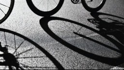 shadow of bike wheels on asphalt