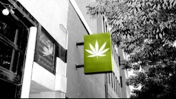 A medical cannabis pharmacy sign on a wall