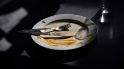 fork and knife resting on dirty empty plate