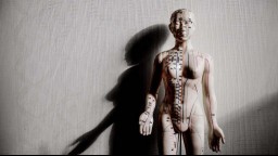 A human body model showing acupuncture pressure spots.