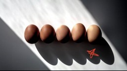 Five brown eggs laid across a table