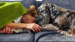 Tired female lays on couch with spotted dog